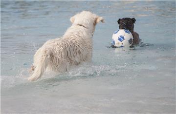Die einen gucken Bundesliga, die anderen spielen Wasser(fuß)ball.