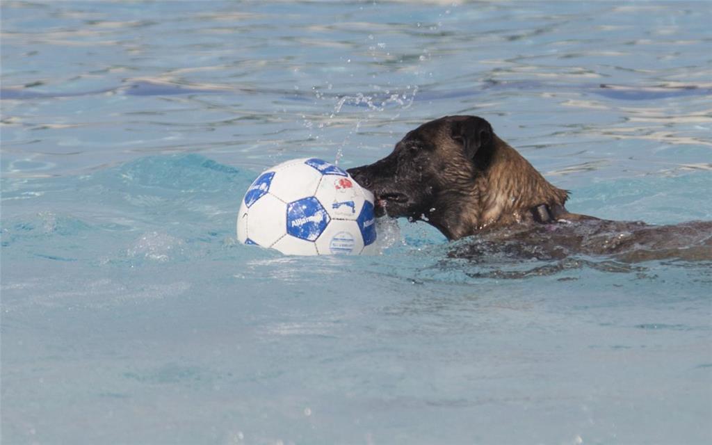 Die einen gucken Bundesliga, die anderen spielen Wasser(fuß)ball.