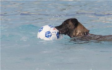 Die einen gucken Bundesliga, die anderen spielen Wasser(fuß)ball.