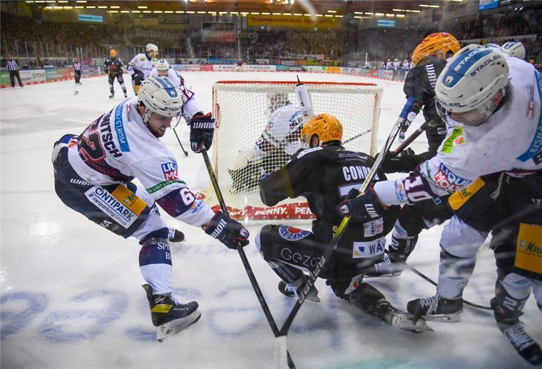 Bald geht’s wieder los: DEL stellt Spielplan für die neue Saison vor Die Eisbären Berlin und die Fischtown Pinguins waren das Maß aller Dinge in der vergangenen Saison. Am 11. Oktober steigt das erste Duell Meister gegen Vizemeister der neuen Spielzeit.