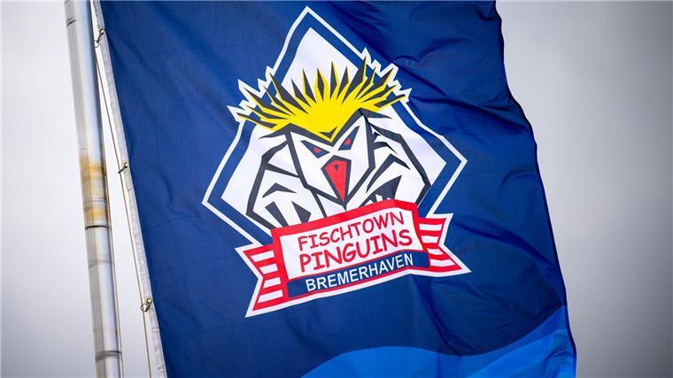 Pinguins im Achtelfinale wieder gegen Skellefteå Die Eishockey-Pinguins aus Bremerhaven treffen im Champions-League-Achtelfinale auf Skellefteå AIK aus Schweden.