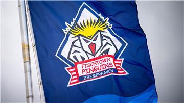 Die Eishockey-Pinguins aus Bremerhaven treffen im Champions-League-Achtelfinale auf Skellefteå AIK aus Schweden.