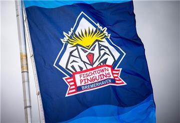 Die Eishockey-Pinguins aus Bremerhaven treffen im Champions-League-Achtelfinale auf Skellefteå AIK aus Schweden.