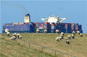 Die Elbvertiefung soll dafür sorgen, dass mehr Container nach Hamburg verschifft werden können. 