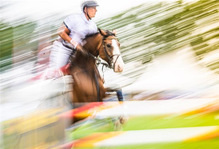 Landesmeisterschaften statt Reitertage in Elmlohe Die Elmloher Reitertage sind der Corona-Pandemie zum Opfer gefallen - Reitsport gibt es im Pferdedorf in diesen Tagen dennoch.