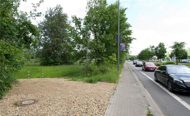 Die Eltern des verletzten Babys hatten der Polizei erzählt, dass ein freilaufender Hund den Säugling auf dieser Grünfläche in Osnabrück angegriffen habe.