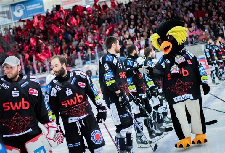 Pinguins lassen sich nach grandioser Saison feiern: Am Mittwoch steigt die Mega-Party Die Enttäuschung sitzt tief, doch immer mehr kommt bei den Pinguins auch der Stolz auf eine überragende Saison durch, die am Mittwoch groß gefeiert werden soll.