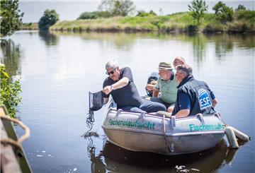 Die ersten kleinen Aale ließ OB melf Grantz (links) als Schirmherr ins Wasser gleiten. Foto: Hartmann