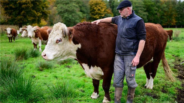 Die etwa 200 Rinder stehen an 365 Tagen im Jahr im Landkreis Uelzen draußen.