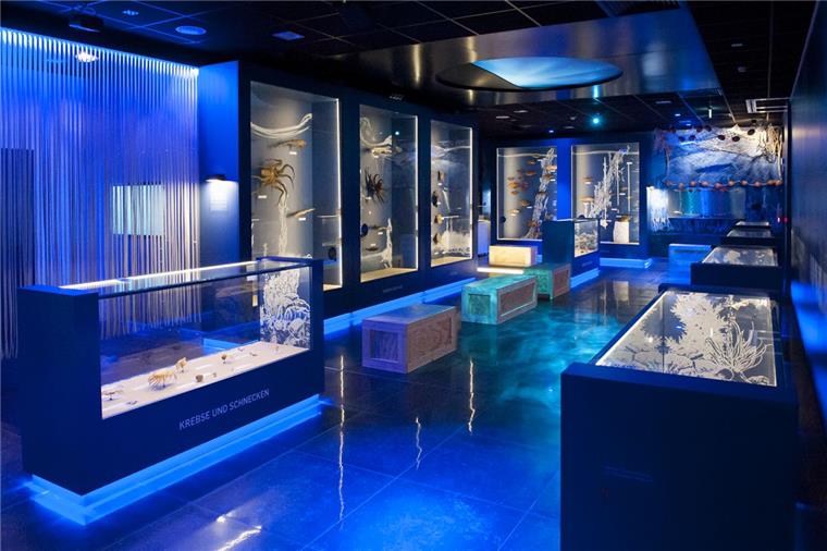 Schlechte Besucherzahlen: Nordmeere-Ausstellung in Bremerhaven wird umgebaut Die "Expedition Nordmeere" im Fischbahnhof in Bremerhaven ist ein Flop. Offenbar ist die Technik immer noch nicht ausgereift.