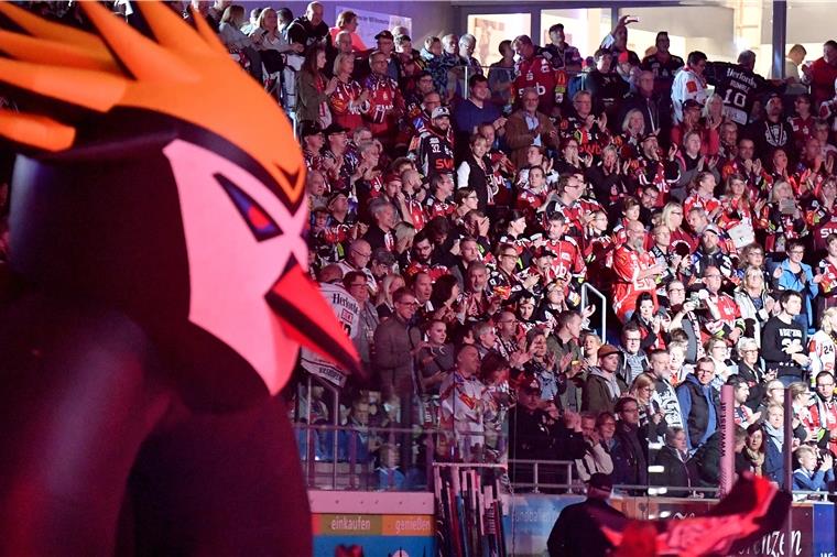 Hier gibt’s Freikarten für den Fanbus nach Iserlohn Die Fans der Fischtown Pinguins sind auswärts oft zahlreich mit dabei.