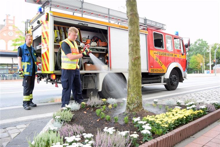 Die Feuerwehr bewässert fleißig die Bäume in Bremerhaven. Doch jetzt müssen auch die Anwohner ran.