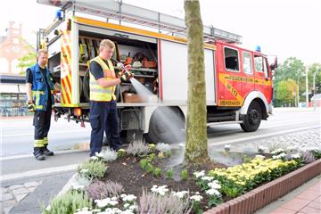 Die Feuerwehr bewässert fleißig die Bäume in Bremerhaven. Doch jetzt müssen auch die Anwohner ran.