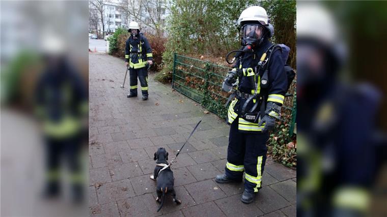 Wohnung voller Rauch: Feuerwehrmänner retten kleinen Hund Die Feuerwehr rettete einen kleinen Hund aus einer verrauchten Wohnung in der Hermann-Ehlers-Straße.