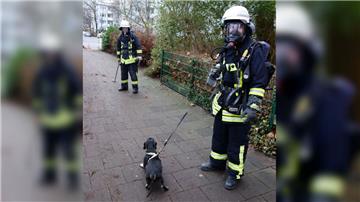 Die Feuerwehr rettete einen kleinen Hund aus einer verrauchten Wohnung in der Hermann-Ehlers-Straße.