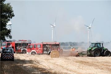 Die Feuerwehr rückte mit einem Großaufgebot an.