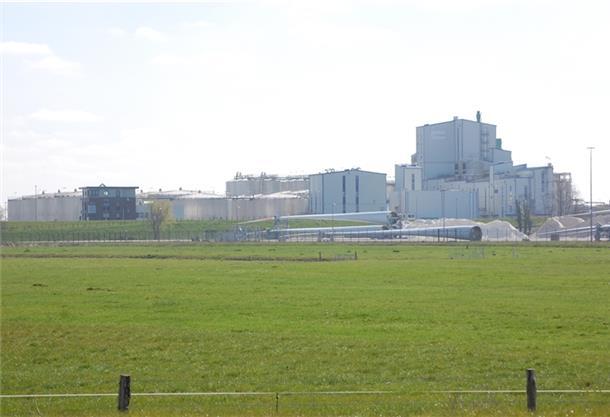 Die Firma Olenex Edible Oils will ihr Werk, das im Hafengelände liegt, erweitern. Foto: Gohritz