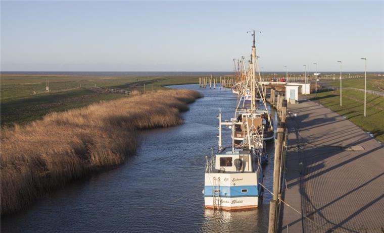 Die Fischer im Spieka-Neufelder Kutterhafen wünschen sich bessere Arbeitsbedingungen. Rund 600 000 Euro sind dafür eingeplant.