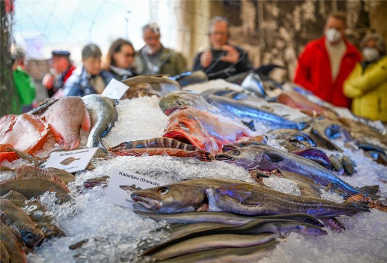 Bremerhaven: Leckereien, Musik und Kinderprogramm bei der Fischparty Fische auf Eis