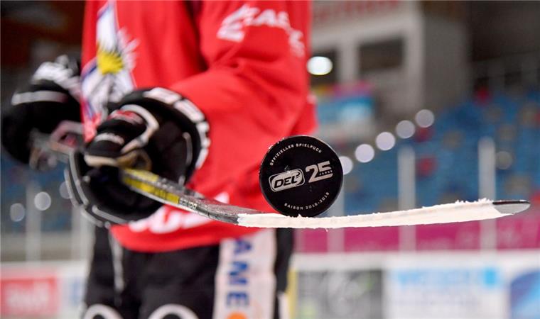 Die Fischtown Pinguins aus Bremerhaven treten  gegen die Straubing Tigers an.