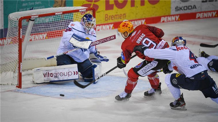 Hier gibt es VIP-Tickets für die Fischtown Pinguins zu gewinnen
