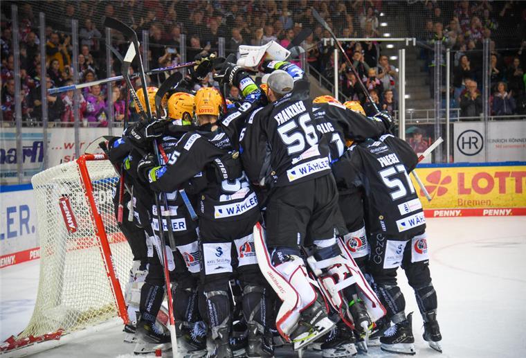 Die „geilste Zeit“ im Eishockey beginnt Fischtown Pinguins