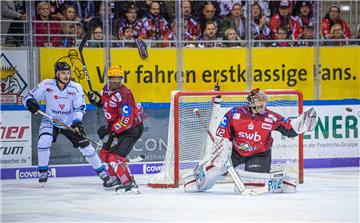 Die Fischtown Pinguins sind wieder in einem Heimspiel gefordert.