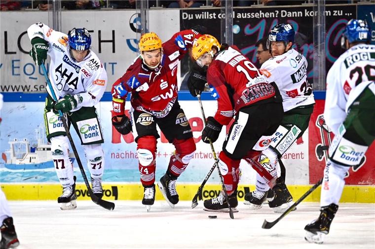 Die Fischtown Pinguins spielten gegen die Augsburg Panther ein sehr starkes zweites Drittel.