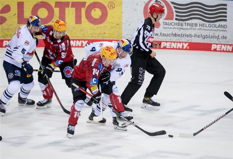 Die Pinguins wollen Meister München ärgern Die Pinguins wollen Meister München ärgern