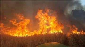 Die Flammen auf dem Feld in Midlum breiteten sich rasant aus.