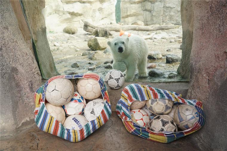Zahl des Tages: 200 Fußbälle Die Freude ist groß, Lili hat neues tütenweise neues Spielzeug bekommen.