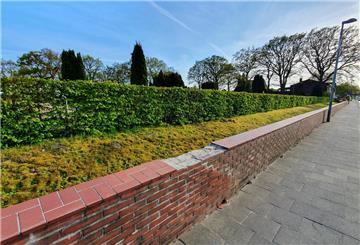 Die Friedhofsmauer in Spaden ist in keinem guten Zustand. Nun schlägt die Verwaltung vor, sie zu entfernen und durch Bäume zu ersetzen.