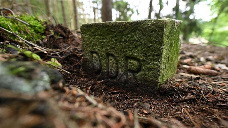 Forschung zu Insektenarten an früherer innerdeutscher Grenze Die frühere deutsch-deutsche Grenze gilt inzwischen als ein Rückzugsort für Tiere und Pflanzen. (Archivbild)