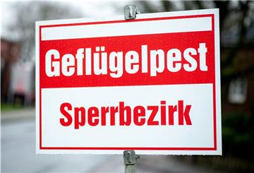 Die für Vögel hochansteckende Vogelgrippe vom Subtyp H5 hat sich im vergangen Jahr von den Niederlanden nach Deutschland ausgebreitet. Vorher wurden Fälle in Russland, Kasachstan und Israel bekannt. Im Landkreis Cuxhaven ist sie ebenfalls angekommen.