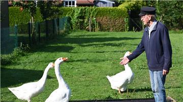 Die Gänse im Garten von Ludwig Smidt sind Auslöser eines Nachbarschaftsstreits in Ostfriesland.
