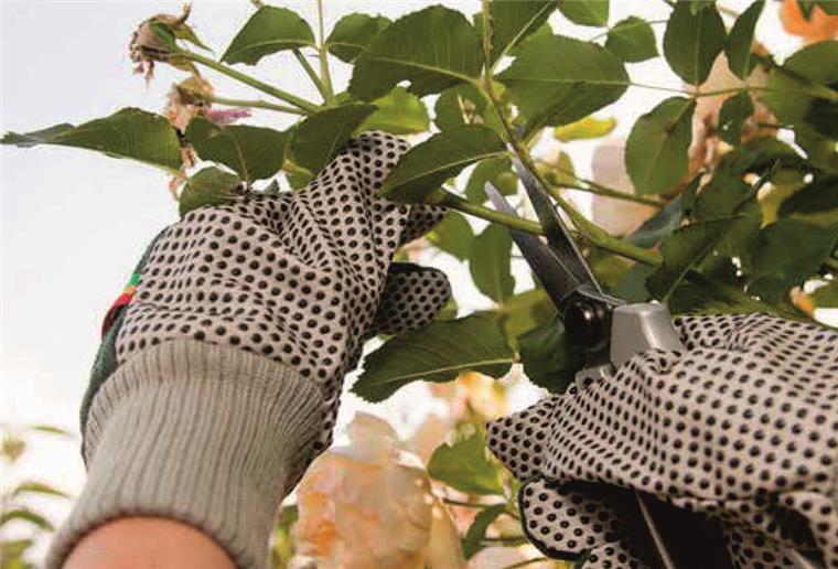 Familiäre Gartenpflege - MABAU kümmert sich um Hecken und Rasen Gartenarbeit, Äste schneiden, Gartenhandschuhe, Gartenschere