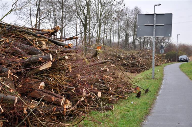 Oldenburger Straße in Nordenham wird am Mittwochvormittag gesperrt Die gefällten Bäume und abgeschnittenen Äste werden am Mittwoch geschreddert. Die Oldenburger Straße wird deshalb vormittags gesperrt.