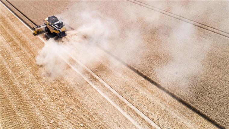 621 Millionen Euro für Niedersachsens Landwirtschaft Die Gemeinsame Agrarpolitik (GAP) soll die Landwirtschaft in Europa ökologischer und nachhaltiger machen – auch in Niedersachsen. (Archivbild)