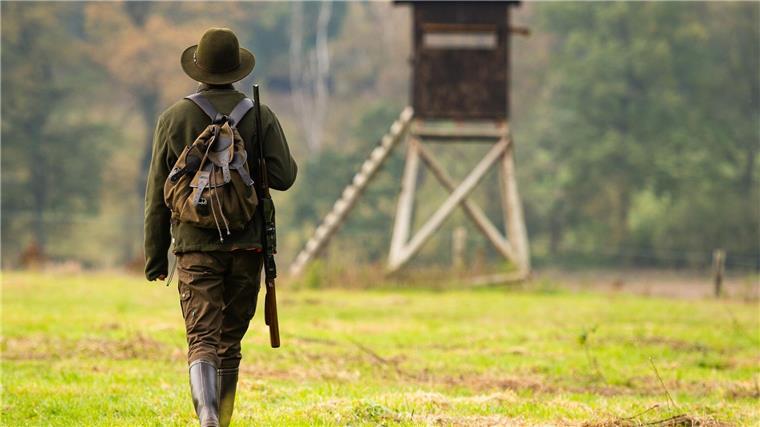 Landesjägerschaft: Jagdreform ist „wirklichkeitsfremd“ Die geplante Reform des Jagdrechts in Niedersachsen sorgt weiter für Streit. Landesjägerpräsident Helmut Dammann-Tamke nennt die Änderungen wirklichkeitsfremd. (Symbolbild)