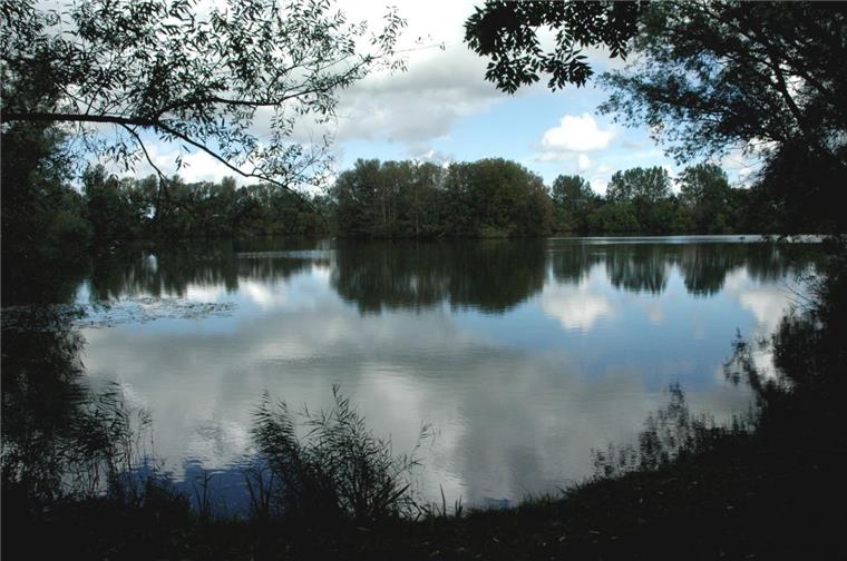 Probleme mit Gewässern in Nordenham: Hilfe für den Seenpark I in Sicht Die Gewässer im Seenpark I, zu denen der Naturschutzsee (Foto), der Angelsee und der Freizeitsee gehört, sind alle kleine Flächenseen ohne kontinuierlichen Zufluss von Oberflächenwasser. Das führt schnell zu Problemen. Ein Gutachter hat jetzt Handlungsempfehlungen gegeben.