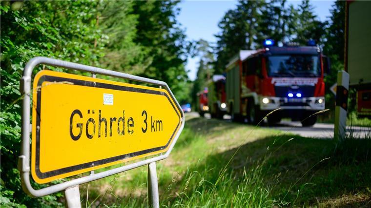 Die Göhrde im Osten Niedersachsen umfasst ein weitläufiges Waldgebiet. 