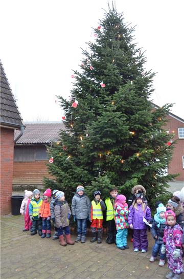 Die Hauptpersonen auf dem Weihnachtsmarkt in Donnern waren die Kindergartenkinde...