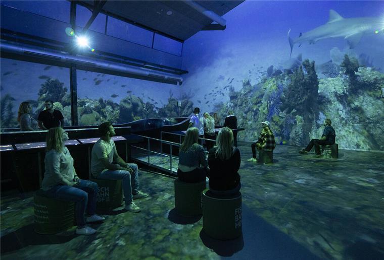Bremerhavens Fischbahnhof 360°: Tauchen Sie ein in die Welt der Hochseefischerei "Fischbahnhof 360°" Ausstellung