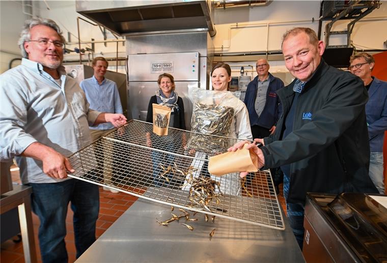 Bremerhaven: Fischtrocknung mit Abwärme Die Hochschule Bremerhaven und zwei Unternehmen aus der Seestadt arbeiten gemeinsam am Projekt „TROCKNFISH“.