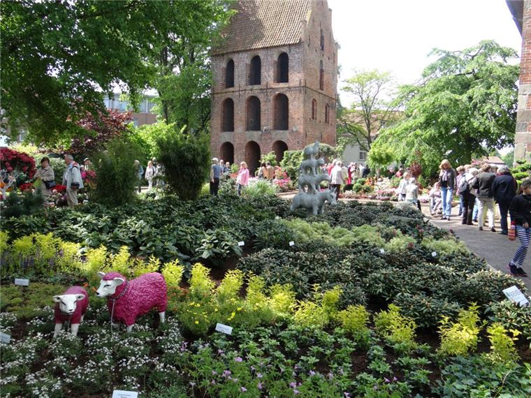 Die Innenstadt Westerstedes – hier der Kirchhof der St.-Petri-Kirche – mutiert bei der Rhododendronausstellung Rhodo wieder zu einem Pflanzenmeer.  