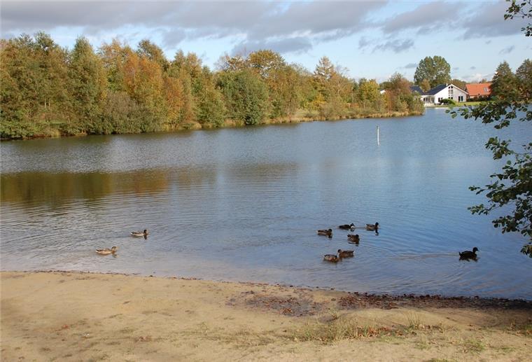 Cuxland: Frau in Sievern vergewaltigt - Verdächtige wieder frei Enten schwimmen auf dem Sieverner See.