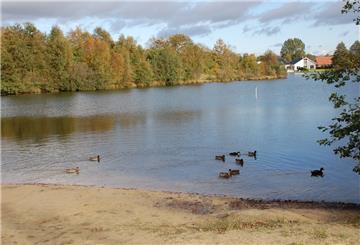 Enten schwimmen auf dem Sieverner See.