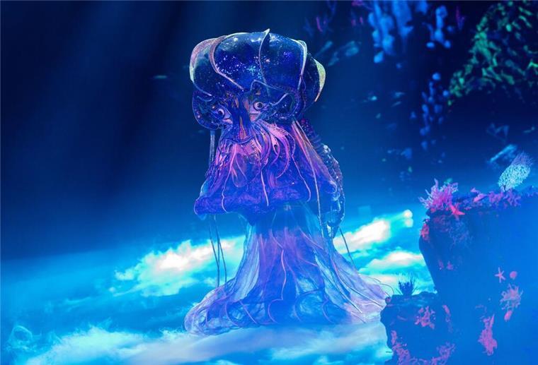 Ex-Handballspieler Pascal Hens bei „Masked Singer“ enttarnt Die Jury nennt sie schon die „Queen“: Der Prominente unter dem spektakulären Quallen-Kostüm hat eine starke Stimme.