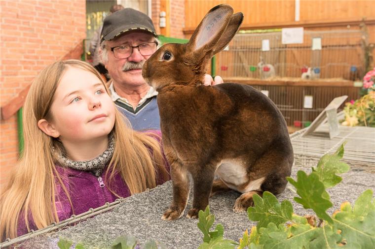 Endlich Wochenende! Unsere kuscheligen Freizeittipps Die Kaninchen stehen bei den Kleintierzüchtern am Sonntag wieder im Mittelpunkt.