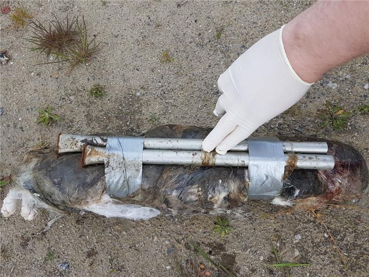 Die Katze starb qualvoll in einer Plastikfolie, die mit Klebeband und Metallstangen fixiert wurde.